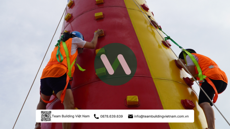Bảng Giá Cho Thuê Đồ Chơi Teambuilding 2025