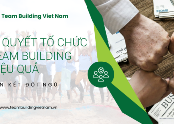 Tổ Chức Team Building